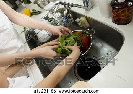 Woman and girl washing vegetables View Large Photo Image Stock Photography - Woman and girl washing vegetables. Fotosearch