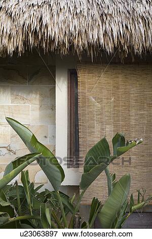 Bamboo blinds, Taketomi Island, Okinawa, Japan View Large Photo Image Stock Photo - Bamboo blinds, Taketomi Island, Okinawa, Japan. Fotosearch
