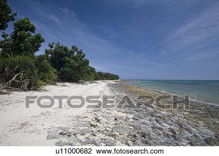 Beach in Taketomi Island, Okinawa, Japan View Large Photo Image Stock Image - Beach in Taketomi Island, Okinawa, Japan. Fotosearch