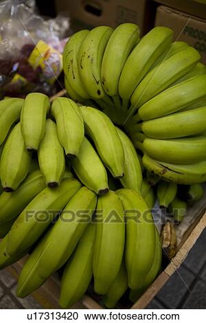 Stock Image - Green banana. Fotosearch