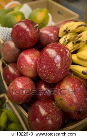 Mangos and bananas View Large Photo Image Stock Photo - Mangos and bananas. Fotosearch