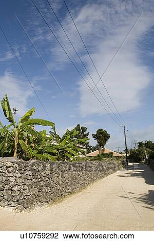 Street in Taketomi Island, Okinawa, Japan View Large Photo Image Stock Image - Street in Taketomi Island, Okinawa, Japan. Fotosearch