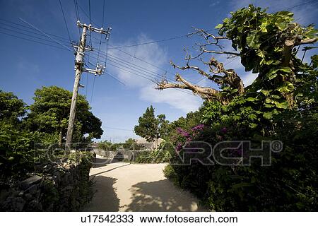 Stock Image - Street in Taketomi Island, Okinawa, Japan. Fotosearch
