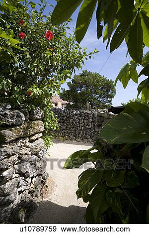 Street in Taketomi Island, Okinawa, Japan View Large Photo Image Stock Photo - Street in Taketomi Island, Okinawa, Japan. Fotosearch