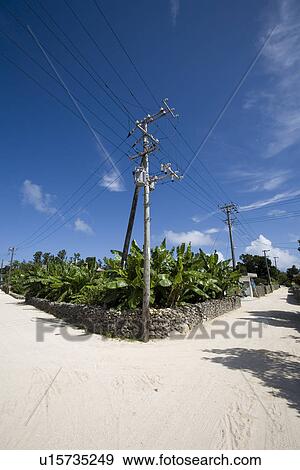 Stock Photo - Street in Taketomi Island, Okinawa, Japan. Fotosearch