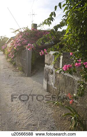 Stock Photo - Street in Taketomi Island, Okinawa, Japan. Fotosearch