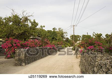 Stock Photo - Street in Taketomi Island, Okinawa, Japan. Fotosearch