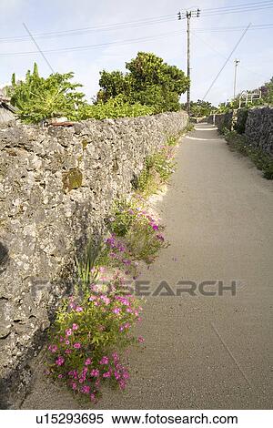 Stock Photography - Street in Taketomi Island, Okinawa, Japan. Fotosearch