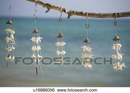 Stock Photograph - Wind chimes made of shells. Fotosearch