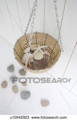 Shells in basket View Large Photo Image Stock Image - Shells in basket. Fotosearch