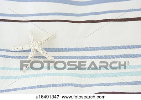 Starfish View Large Photo Image Stock Photo - Starfish. Fotosearch