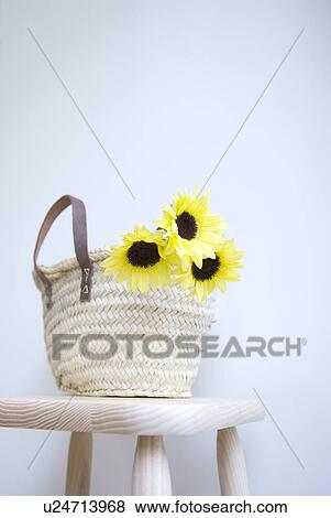 Stock Photo - Sunflower in straw bag. Fotosearch