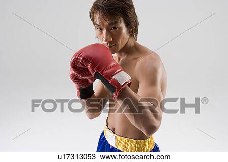 Boxer posing View Large Photo Image Stock Image - Boxer posing. Fotosearch