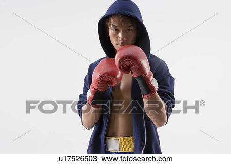 Boxer posing View Large Photo Image Stock Image - Boxer posing. Fotosearch