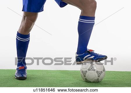 Legs of soccer player View Large Photo Image Stock Photograph - Legs of soccer player. Fotosearch