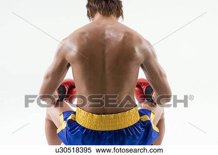 Rear view of boxer sitting View Large Photo Image Stock Photography - Rear view of boxer sitting. Fotosearch