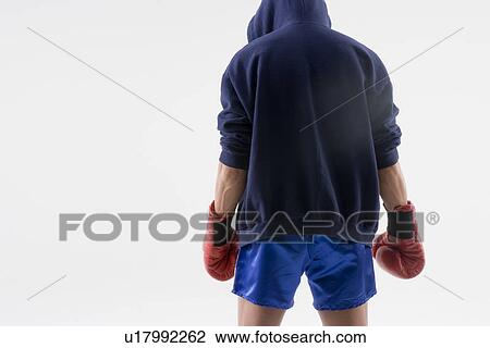Stock Image - Rear view of boxer standing. Fotosearch