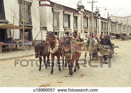Tibet - winter 1993 View Large Photo Image Stock Photo - Tibet - winter 1993. Fotosearch