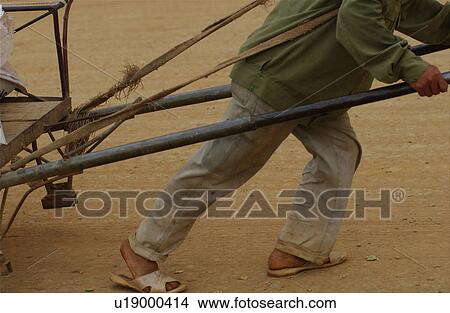 Picture - Northern Vietnam. Fotosearch
