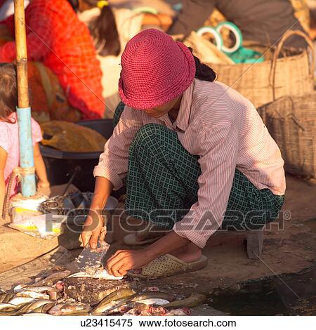 Stock Photography - Woman scaling fish in a market. Fotosearch