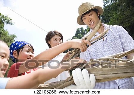 Stock Photograph - Family collecting Firewood. Fotosearch