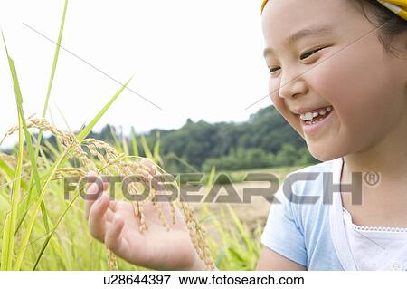 Stock Photo - Girl touching a rice plant. Fotosearch