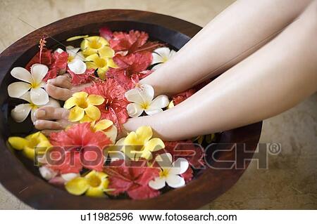 Stock Photograph -  Woman soaking feet in footbath with flowers, Saipan. Fotosearch