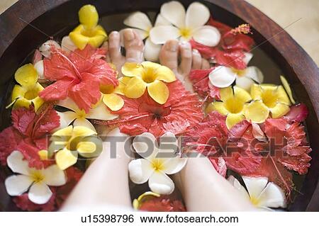 Stock Photograph -  Woman soaking feet in footbath with flowers, Saipan. Fotosearch