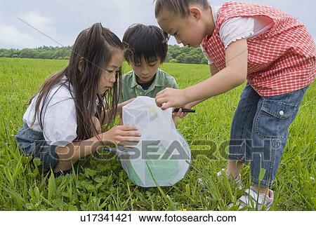 Children catching insect with net View Large Photo Image Stock Image - Children catching insect with net. Fotosearch