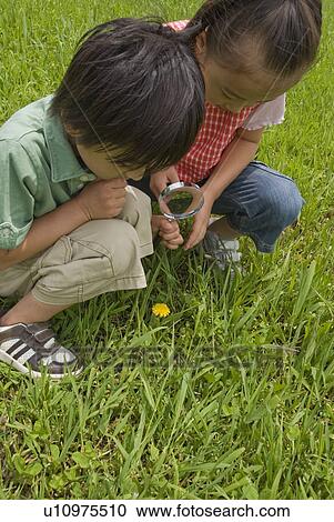 Stock Image - Children looking at flower with magnifying glass. Fotosearch