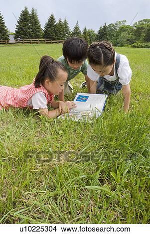 Children reading book on grass field View Large Photo Image Picture - Children reading book on grass field. Fotosearch