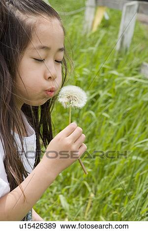 Girl blowing dandelion seeds View Large Photo Image Stock Photo - Girl blowing dandelion seeds. Fotosearch