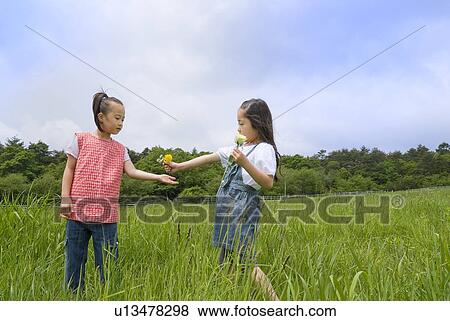 Girl giving flowers to friend View Large Photo Image Stock Photo - Girl giving flowers to friend. Fotosearch