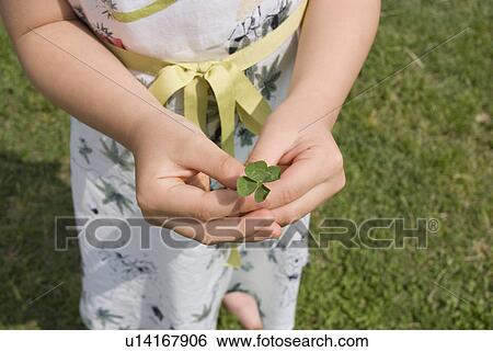Girl holding four-leaf clover View Large Photo Image Stock Photograph - Girl holding four-leaf clover. Fotosearch