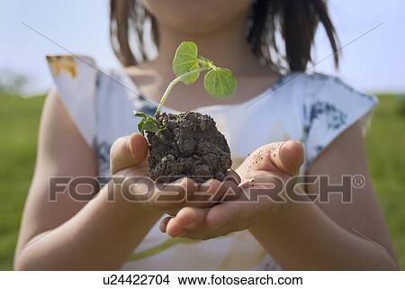 Picture - Girl holding plant. Fotosearch