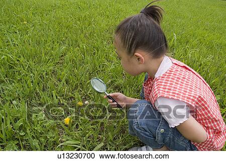 Girl looking at flower with magnifying glass View Large Photo Image Stock Image - Girl looking at flower with magnifying glass. Fotosearch
