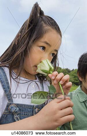 Girl smelling rose View Large Photo Image Stock Image - Girl smelling rose. Fotosearch