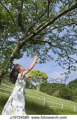 Girl trying to touch tree branch View Large Photo Image Stock Image - Girl trying to touch tree branch. Fotosearch