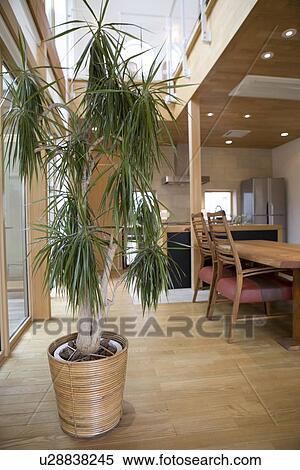 Dining Room View Large Photo Image Stock Photography - Dining Room. Fotosearch