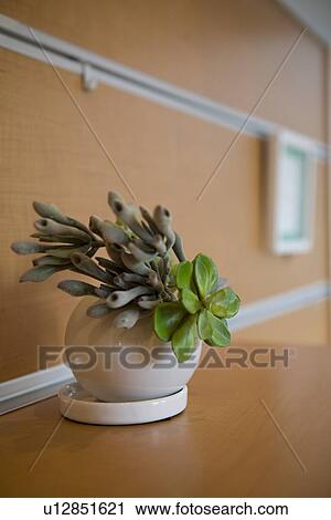 Flower Arrangement View Large Photo Image Stock Image - Flower Arrangement. Fotosearch