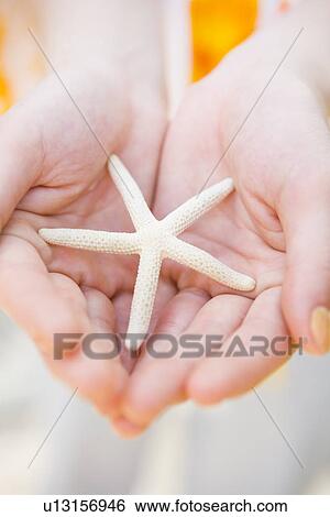 Hand of a woman holding starfish View Large Photo Image Stock Photograph - Hand of a woman holding starfish. Fotosearch