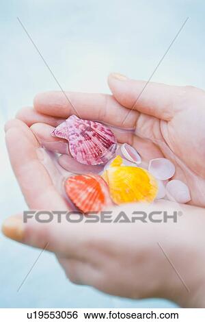Stock Photograph - Hand of a woman holding starfish. Fotosearch