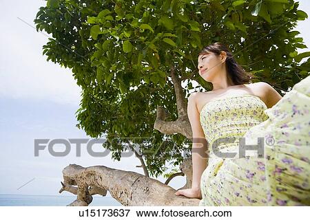 Stock Photo - Young woman sitting on tree. Fotosearch