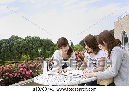 College students studying View Large Photo Image Stock Photography - College students studying. Fotosearch