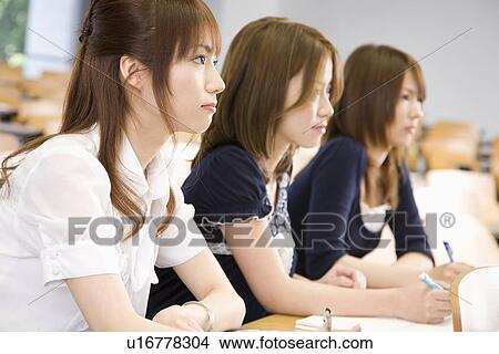 Three young women studying at college View Large Photo Image Picture - Three young women studying at college. Fotosearch