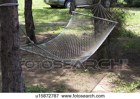 Stock Photo - A hammock hanging between the two trees. Fotosearch