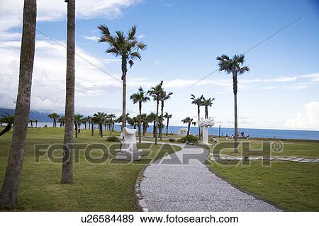 Beautiful scenery of a park beside the sea View Large Photo Image Stock Photo - Beautiful scenery of a park beside the sea. Fotosearch