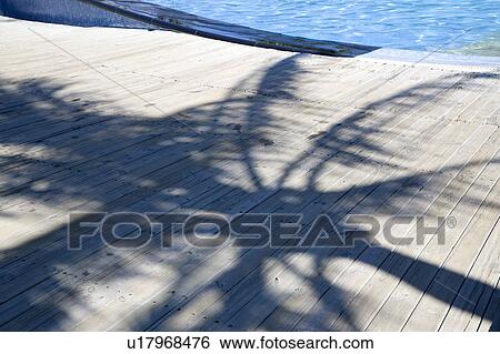 Stock Photograph - The shadow of a coconut palm tree on the wooden board by water. Fotosearch