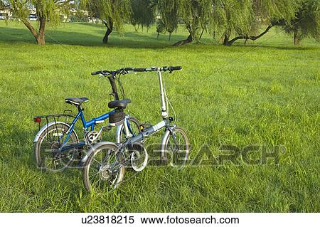 Two bicycles on the lawn View Large Photo Image Stock Photography - Two bicycles on the lawn. Fotosearch