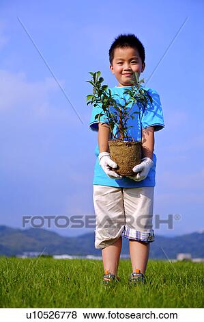 Little boy standing on the lawn, holding a small tree and looking at the camera View Large Photo Image Stock Photo - Little boy standing on the lawn, holding a small tree and looking at the camera. Fotosearch